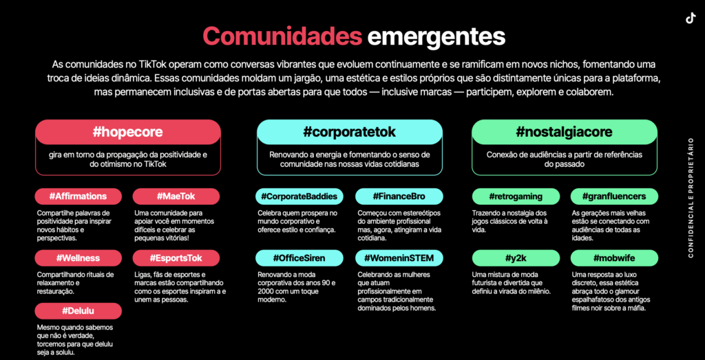 TikTok apresenta dados das comunidades emergentes da plataforma em 2025