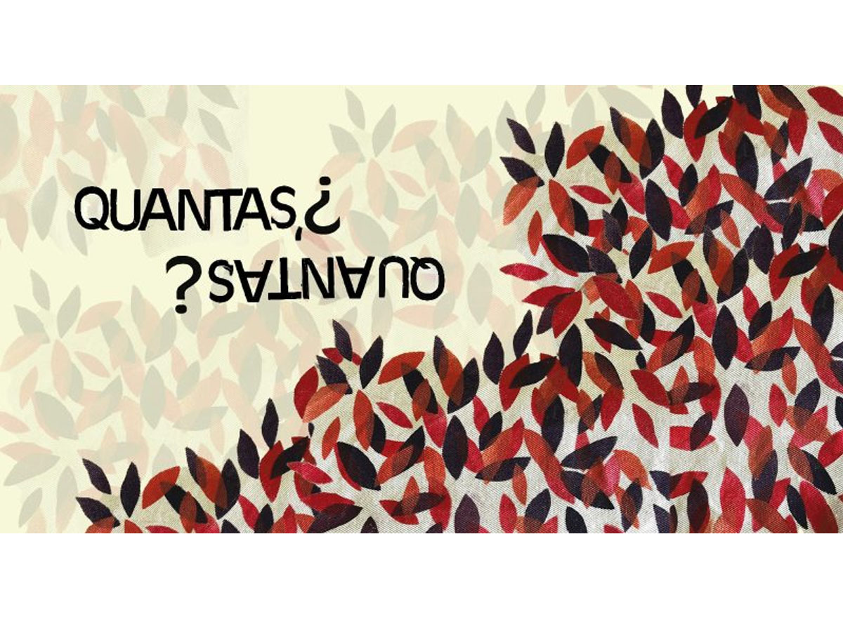 Capa de 