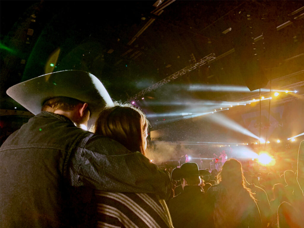 Público em show sertanejo