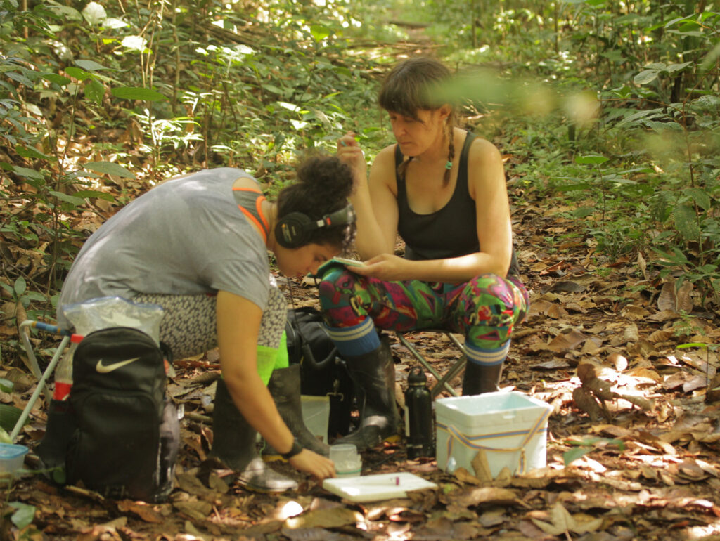 Érica Marinho do Vale e Lisa Schonberg fazem pesquisa bioacústica nas florestas de Manaus, Amazônia