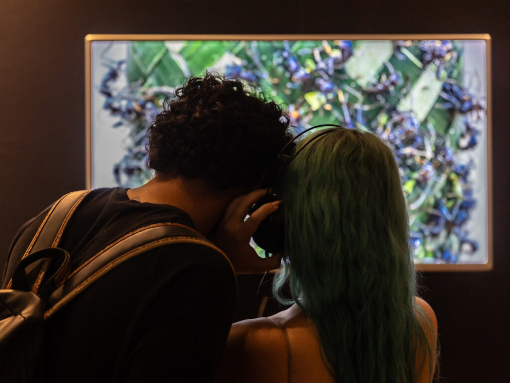 Oportunidades para música no Futuros (Crédito Renato Mangolin)