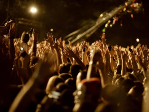 show, shows