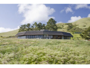Djerassi Resident Artists Program
